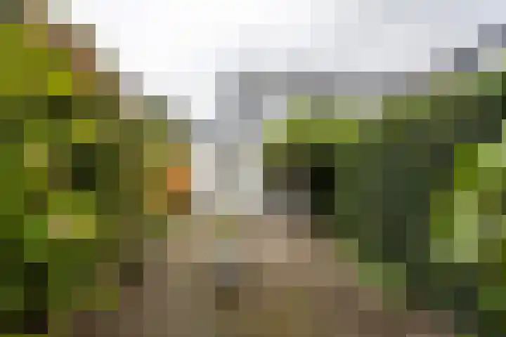Veldheimweg 28 Baarn thumbnail 21