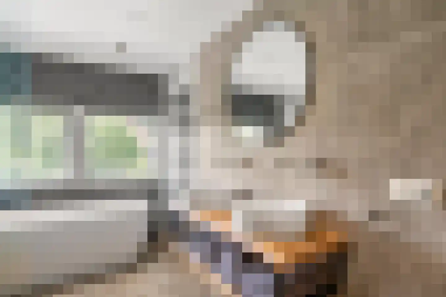 Veldheimweg 3 Renkum thumbnail 43