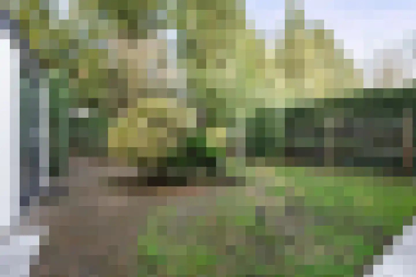 Veldheimweg 38 Renkum thumbnail 30