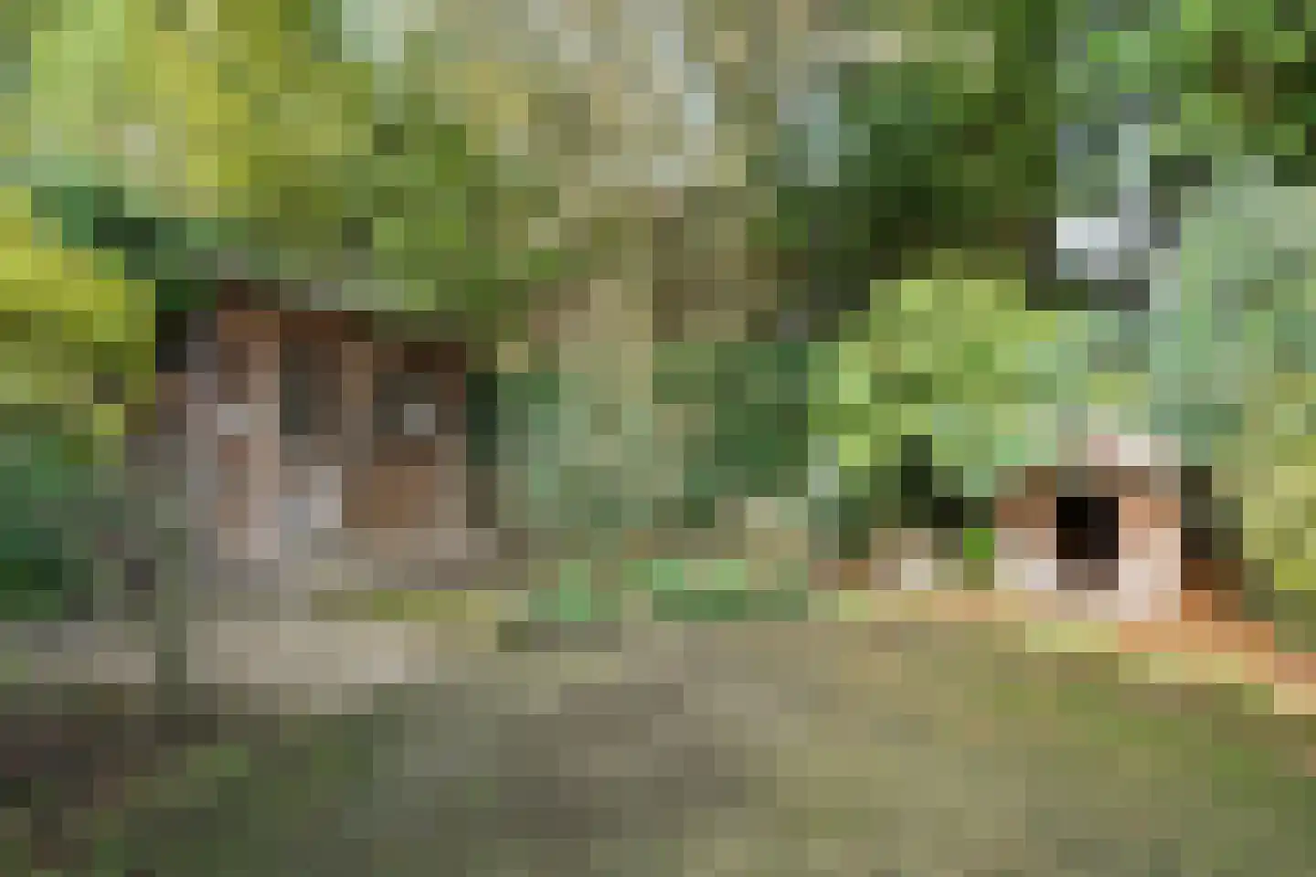 Veldheimweg 38 Renkum thumbnail 32