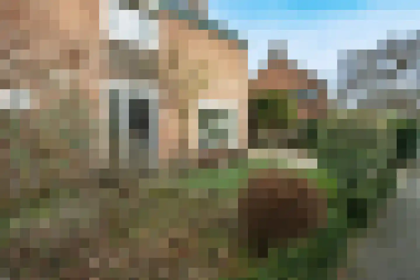 Veldheimweg 38 Renkum thumbnail 4