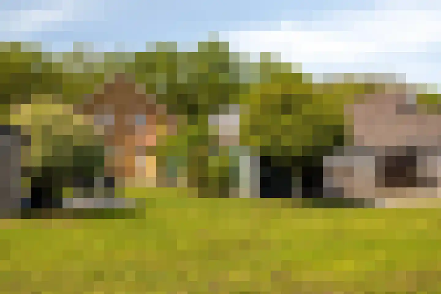 Veldhoekseweg 17 Hengelo (Gld) thumbnail 52