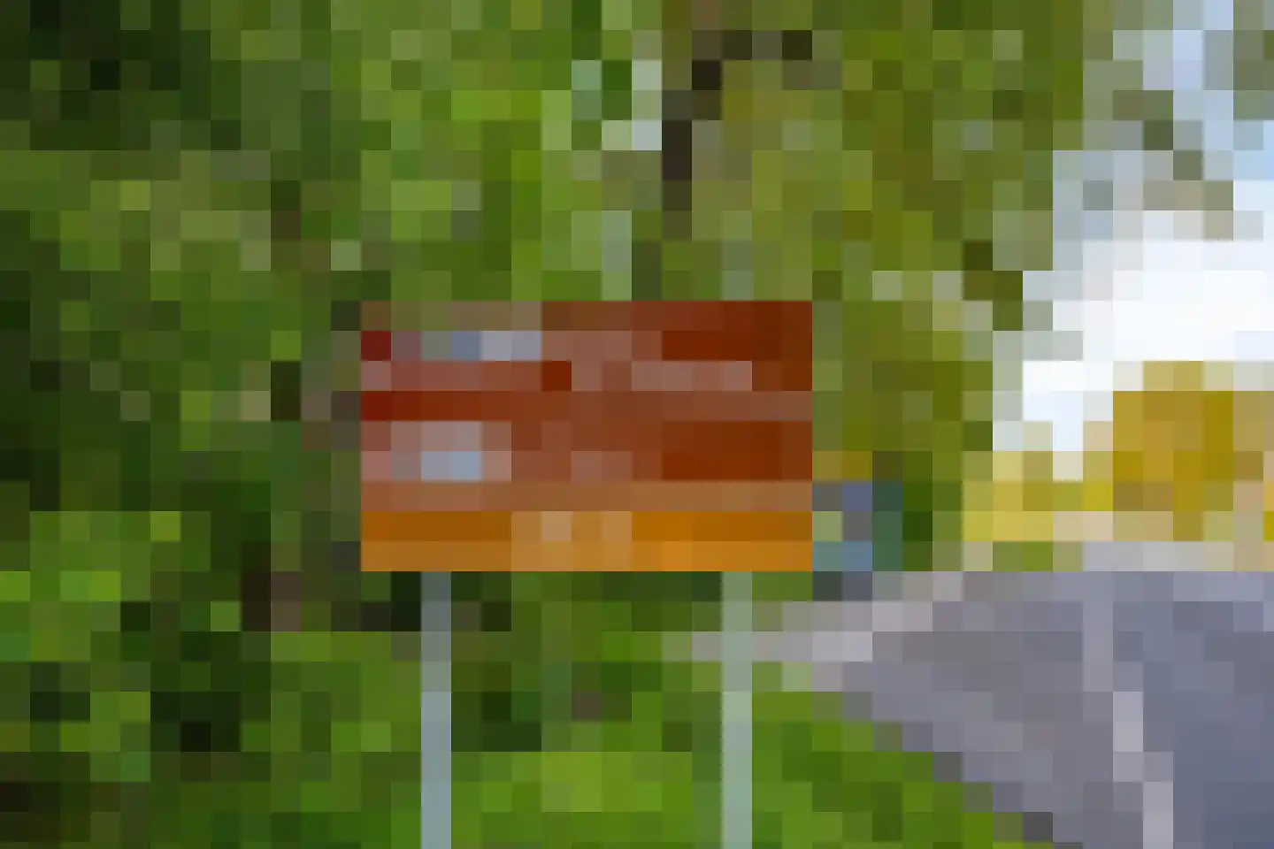 Veldhoekseweg 17 Hengelo (Gld) thumbnail 58