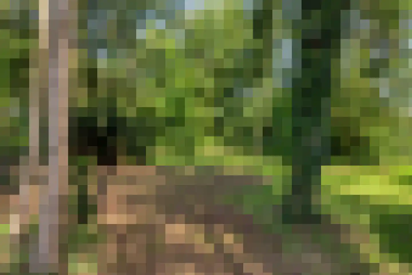 Veldhoekseweg 8 Hengelo (Gld) thumbnail 11