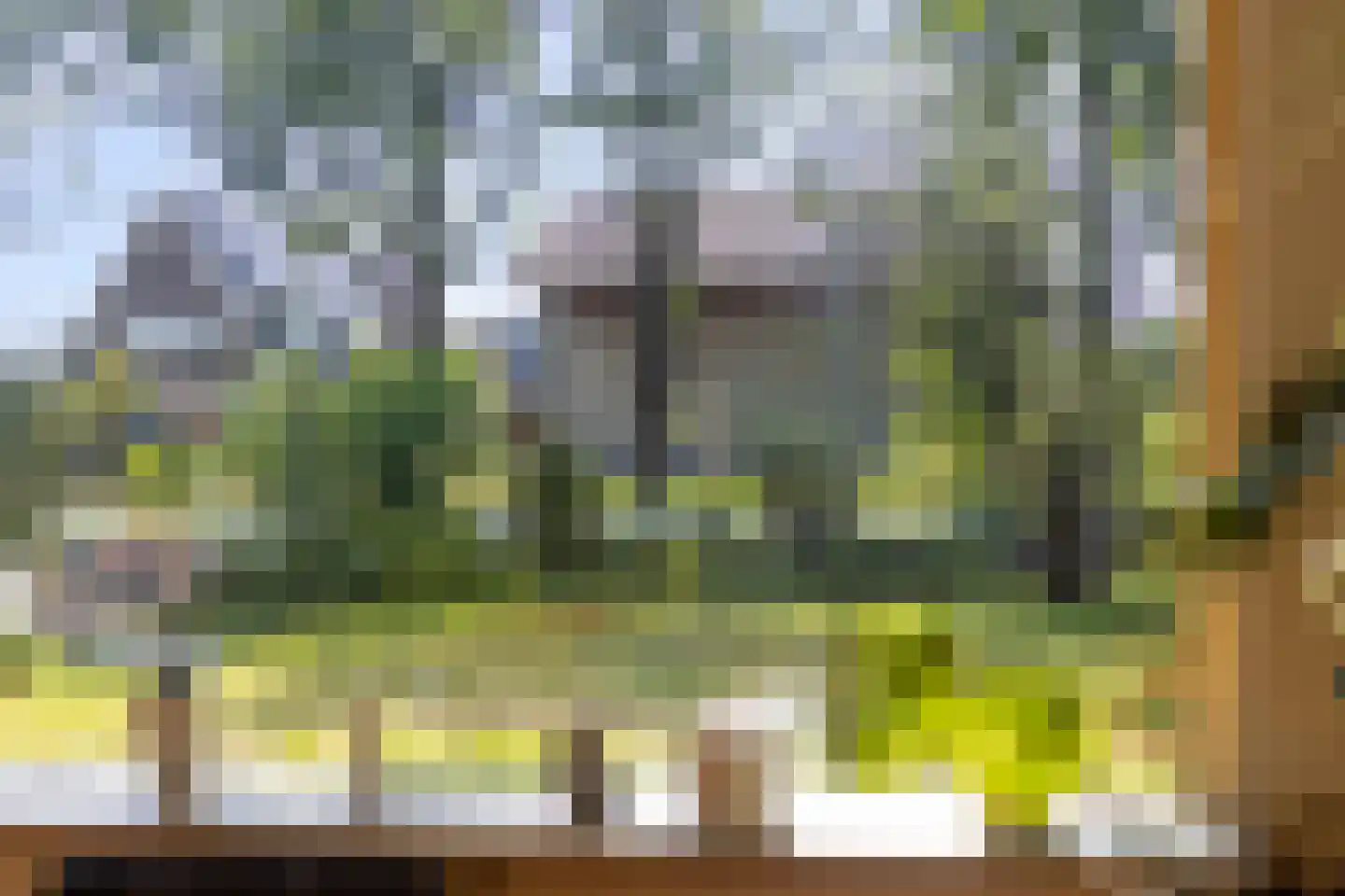 Veldhoekseweg 8 Hengelo (Gld) thumbnail 17