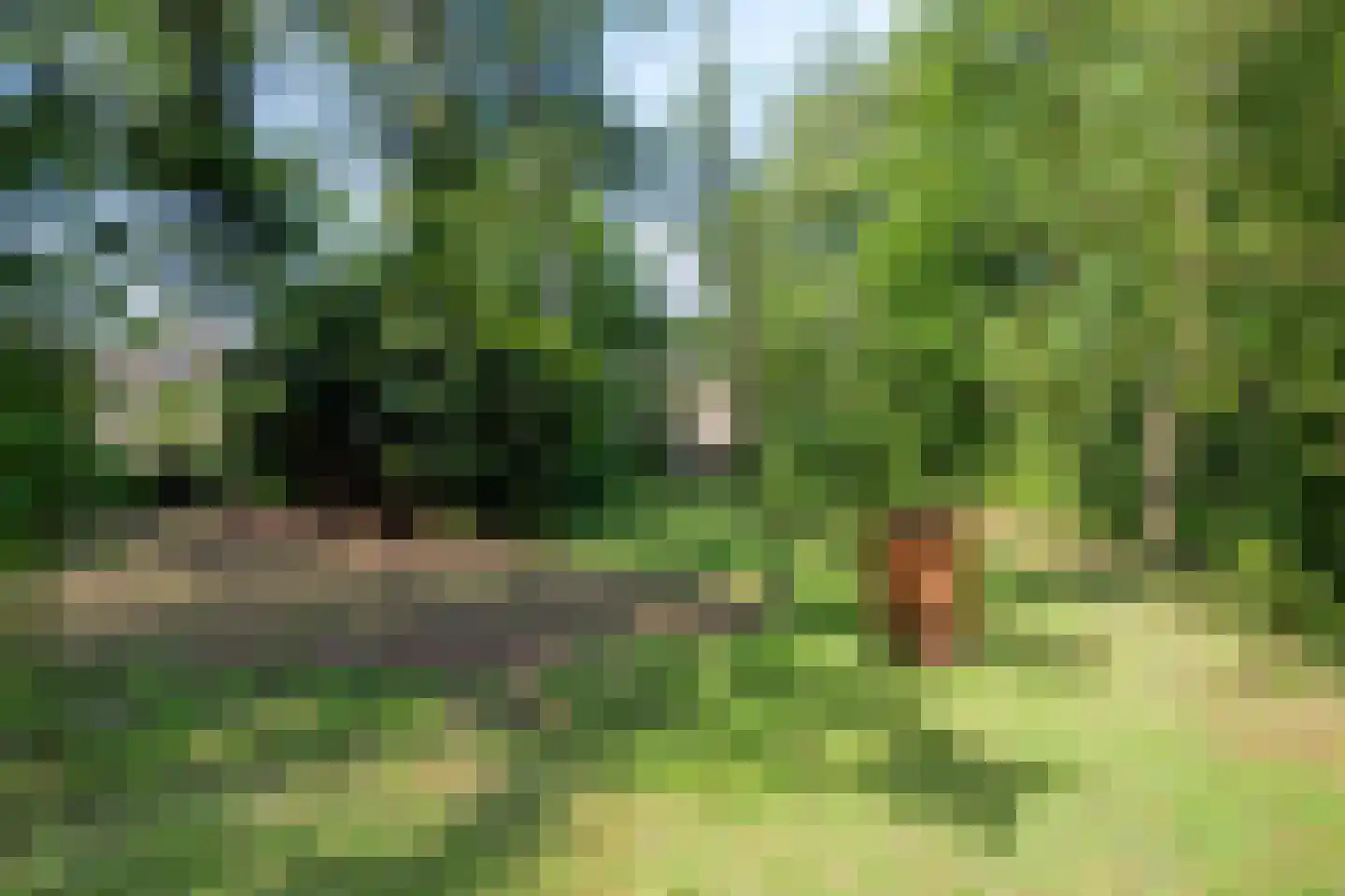 Veldhoekseweg 8 Hengelo (Gld) thumbnail 36
