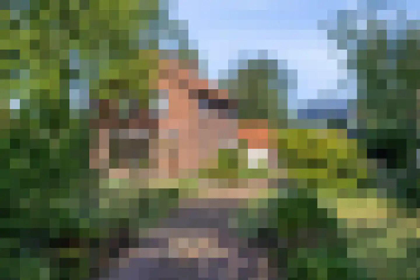 Veldhoekseweg 8 Hengelo (Gld) thumbnail 37