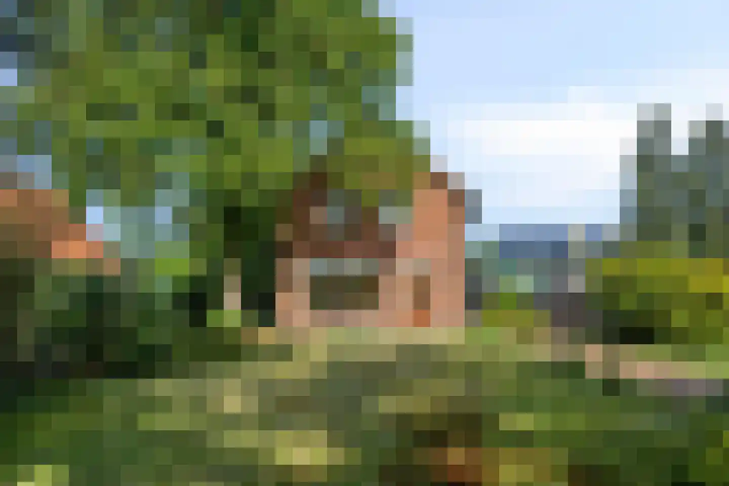 Veldhoekseweg 8 Hengelo (Gld) thumbnail 7