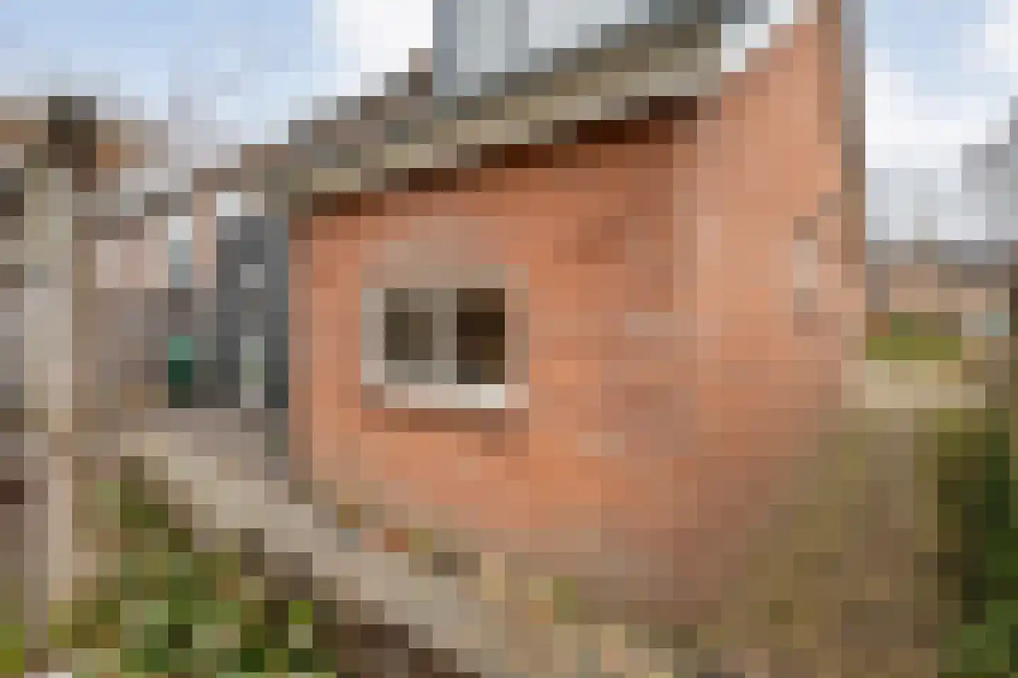 Veldhoekweg 16 Zwolle thumbnail 33