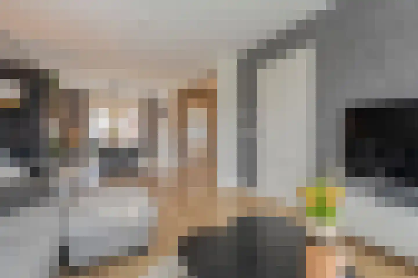 Veldhoekweg 16 Zwolle thumbnail 6