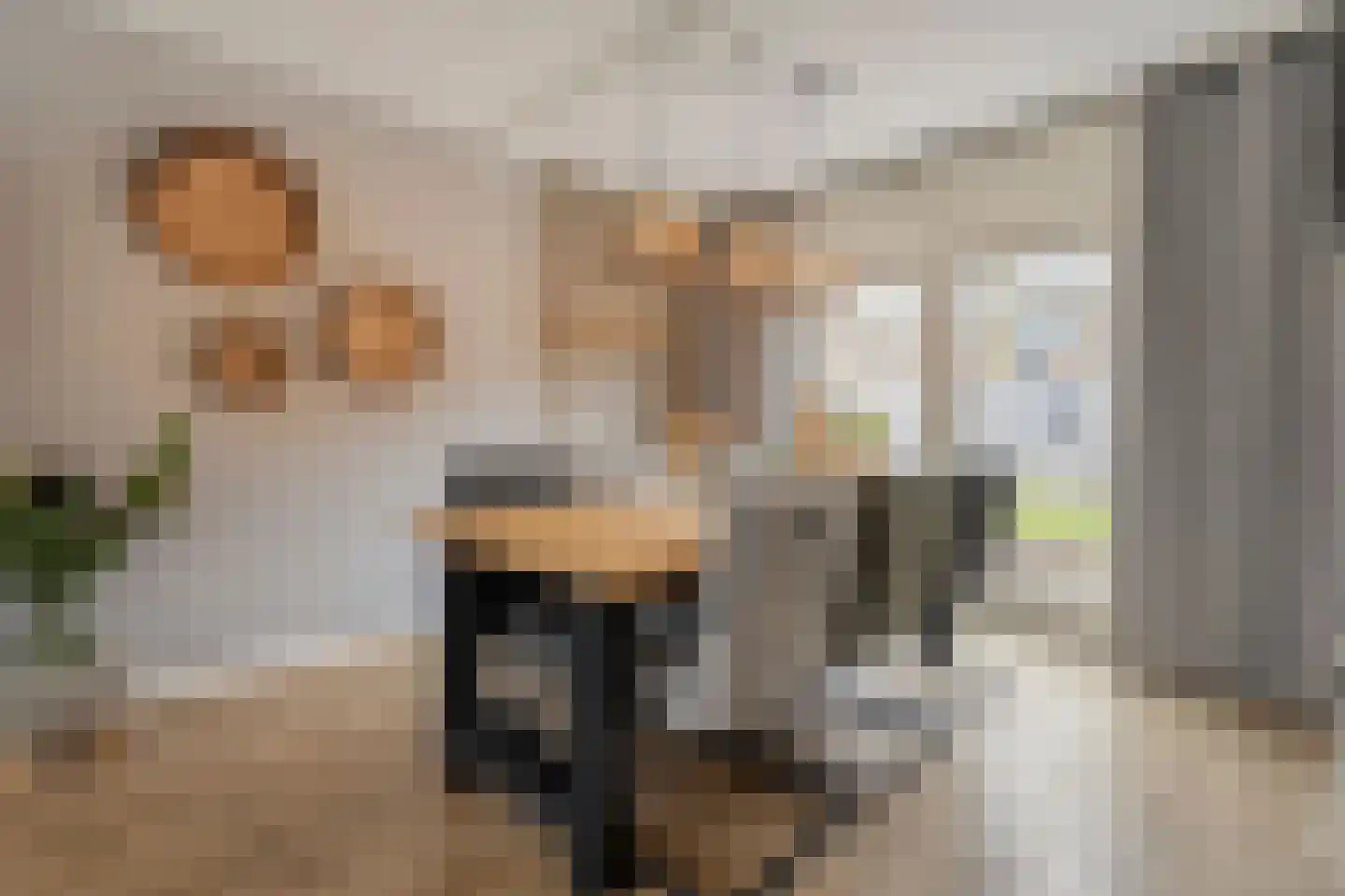 Veldhoekweg 16 Zwolle thumbnail 8