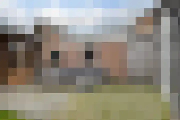 Veldhoekweg 22 Zwolle thumbnail 37