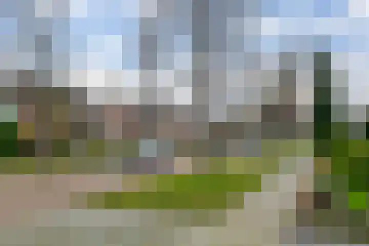 Veldhoekweg 22 Zwolle thumbnail 49