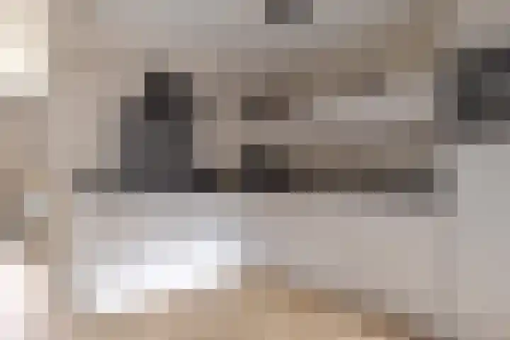 Veldhoekweg 22 Zwolle thumbnail 5