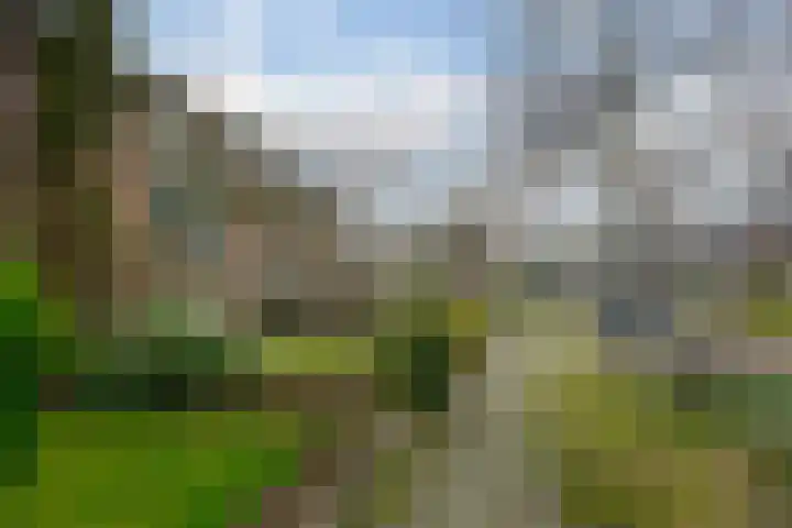 Veldhoekweg 22 Zwolle thumbnail 7