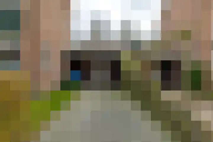 Veldhoekweg 22 Zwolle thumbnail 8