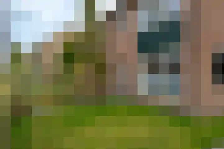 Veldhoekweg 22 Zwolle thumbnail 9