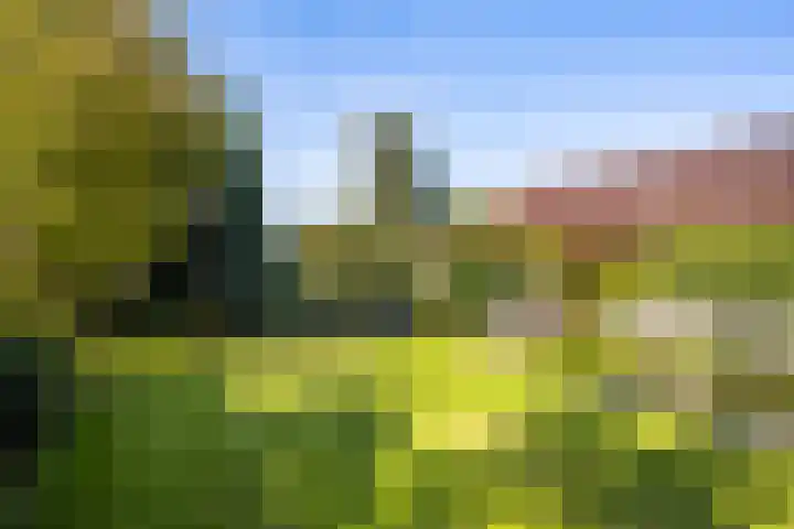 Veldhoekweg 29 Zwolle thumbnail 19
