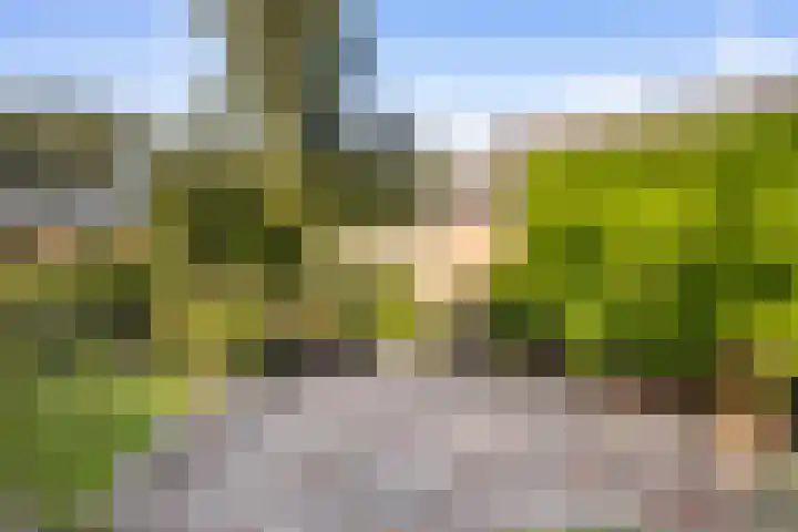 Veldhoekweg 29 Zwolle thumbnail 21