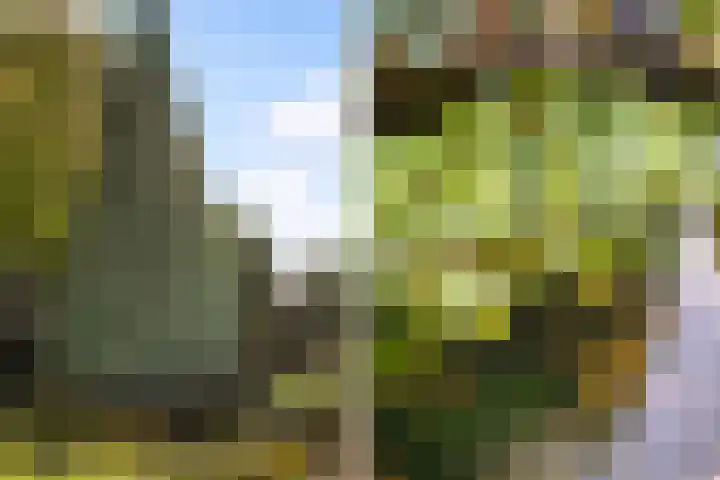 Veldhoekweg 29 Zwolle thumbnail 25