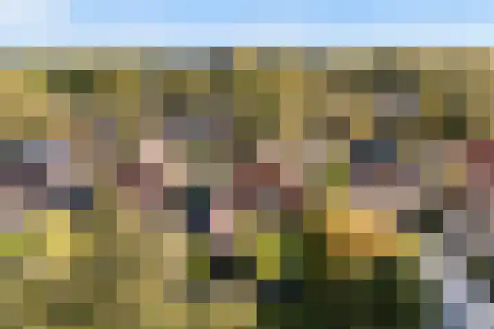 Veldhoekweg 29 Zwolle thumbnail 37