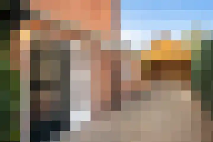 Veldhoekweg 29 Zwolle thumbnail 4