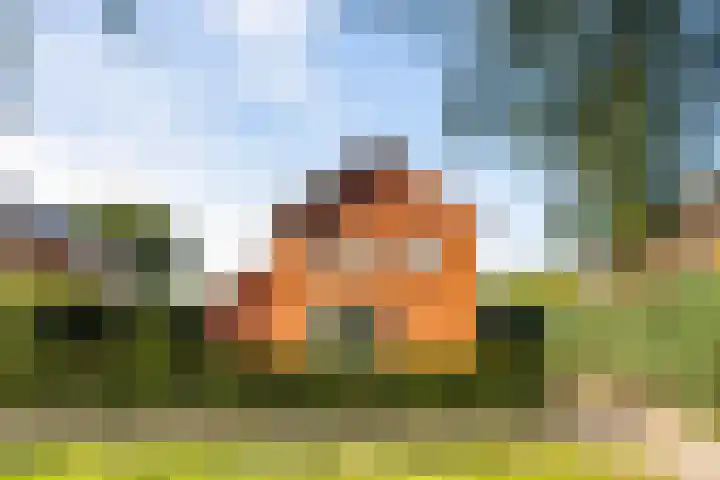 Veldhoekweg 29 Zwolle thumbnail 42