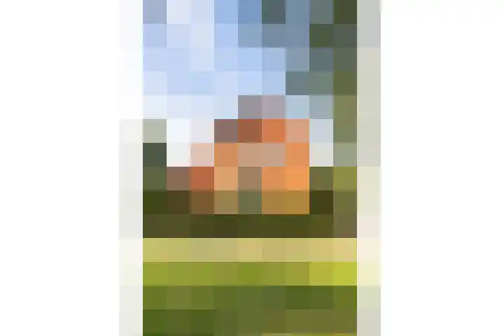 Veldhoekweg 29 Zwolle thumbnail 43