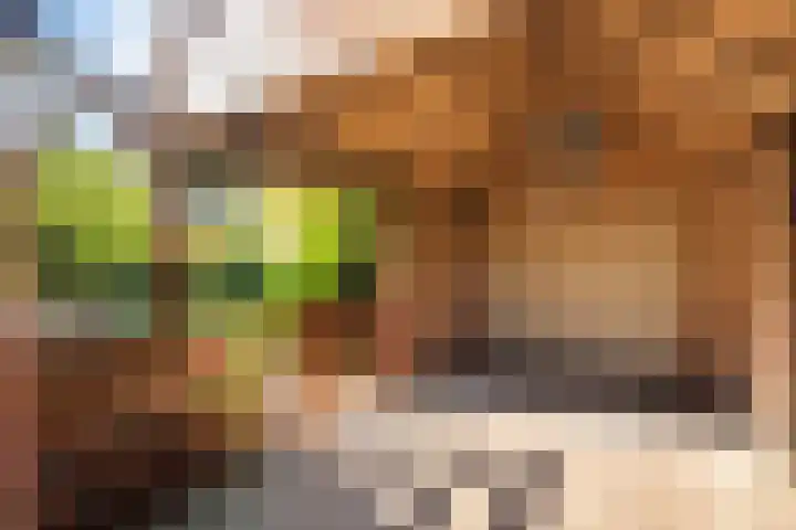 Veldhoekweg 29 Zwolle thumbnail 5