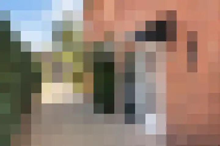 Veldhoekweg 29 Zwolle thumbnail 6