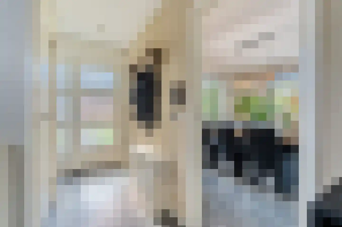 Veldhoekweg 33 Zwolle thumbnail 5
