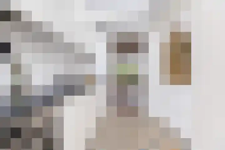 Veldhoekweg 4 Zwolle thumbnail 11