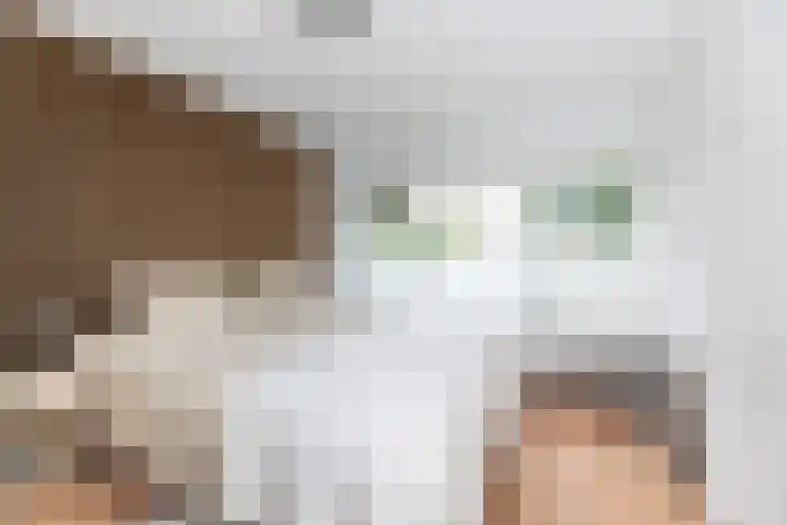 Veldhoekweg 4 Zwolle thumbnail 17