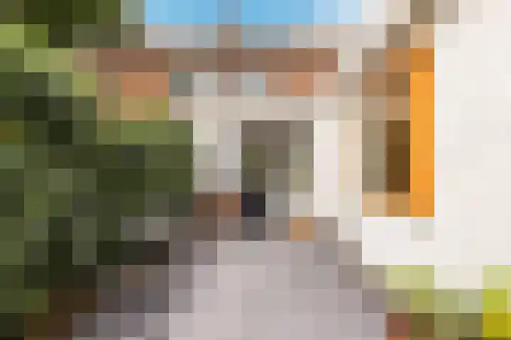 Veldhoekweg 4 Zwolle thumbnail 31