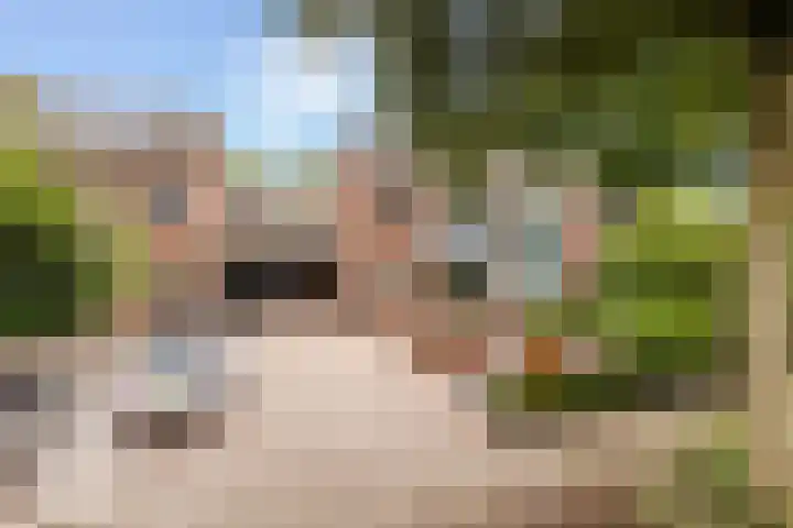 Veldhoekweg 4 Zwolle thumbnail 32