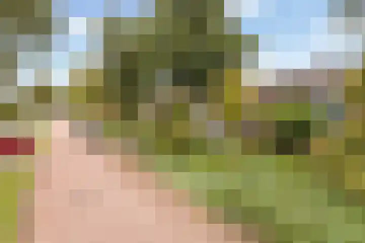 Veldhoekweg 4 Zwolle thumbnail 34
