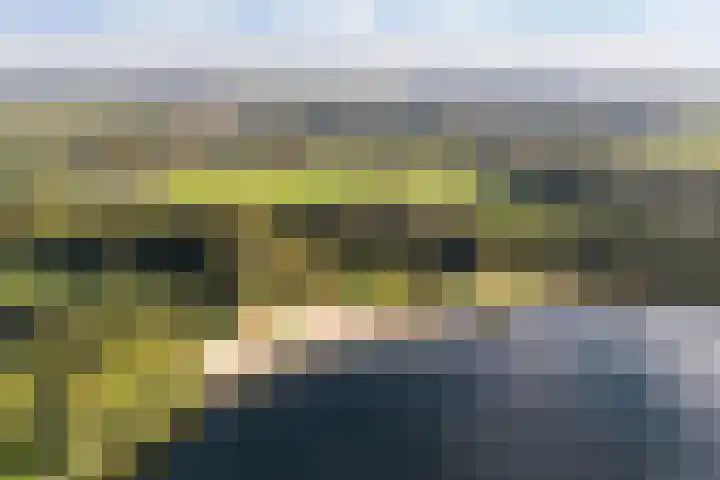 Veldhoekweg 4 Zwolle thumbnail 35