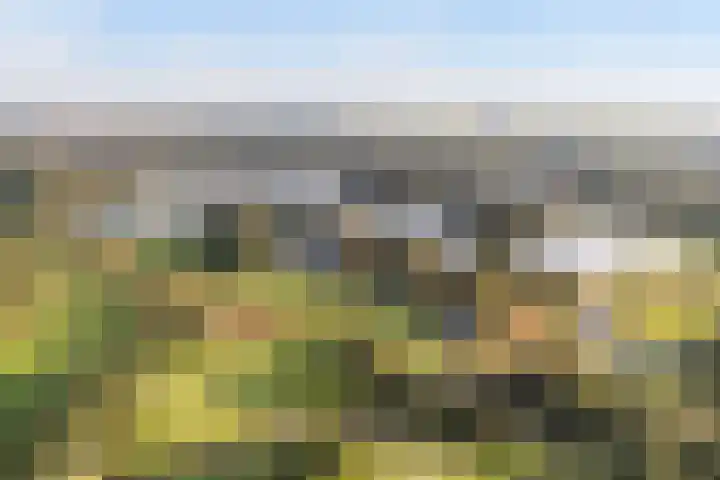 Veldhoekweg 4 Zwolle thumbnail 36