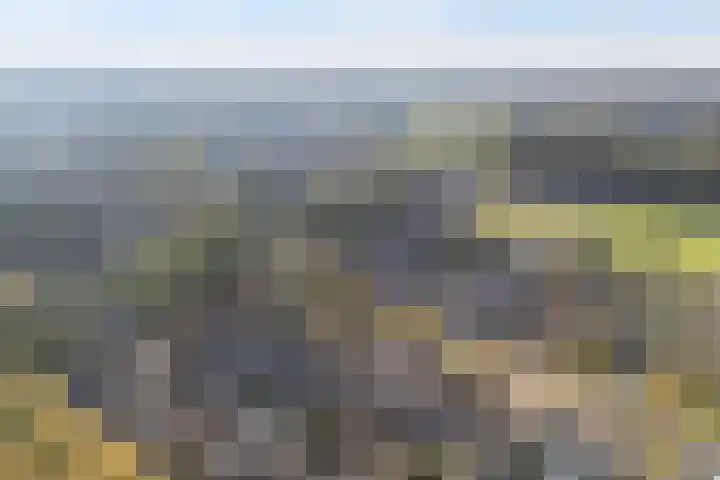 Veldhoekweg 4 Zwolle thumbnail 39
