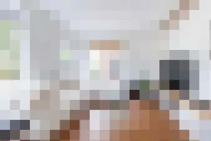 Veldhoekweg 4 Zwolle thumbnail 4