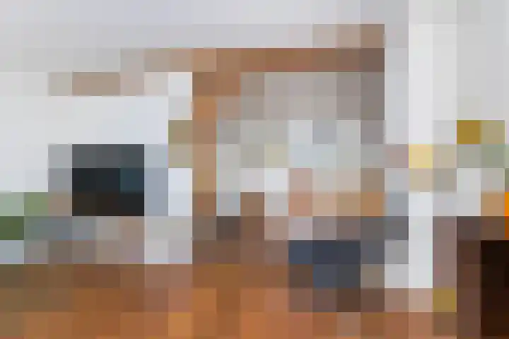 Veldhoekweg 4 Zwolle thumbnail 5