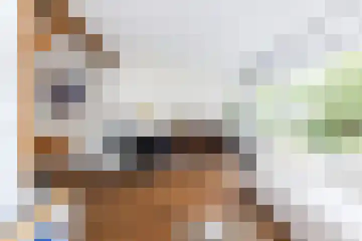 Veldhoekweg 4 Zwolle thumbnail 6