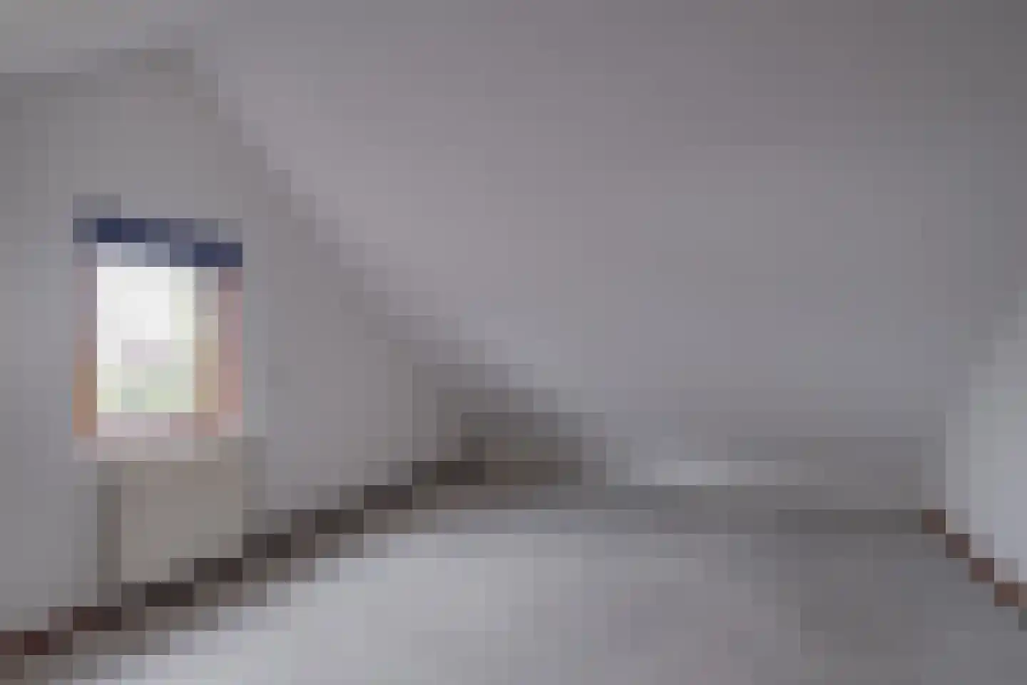 Veldhoenkamp 2 Laren thumbnail 30