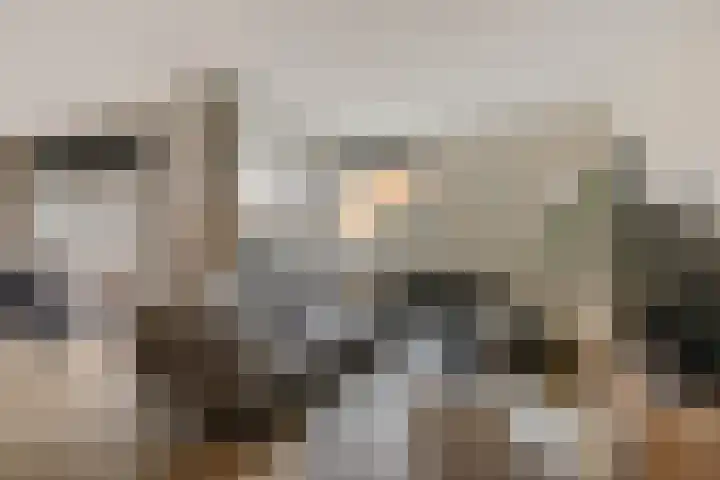 Veldhoeve 12 Nieuwegein thumbnail 20