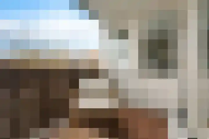 Veldhoeve 12 Nieuwegein thumbnail 26