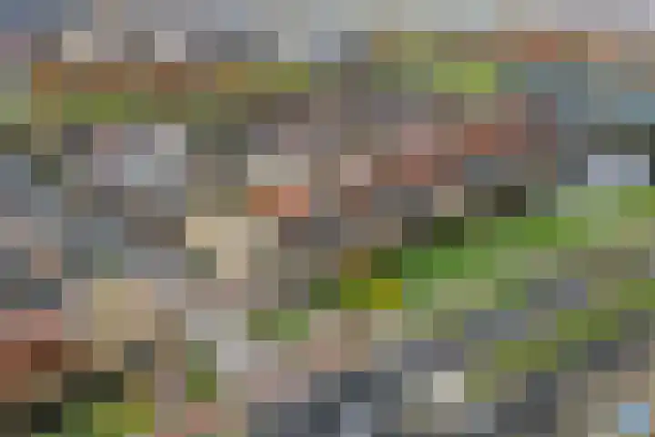 Veldhoeve 12 Nieuwegein thumbnail 30