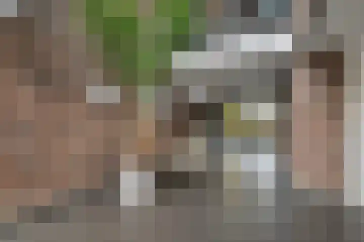 Veldhoeve 12 Nieuwegein thumbnail 5