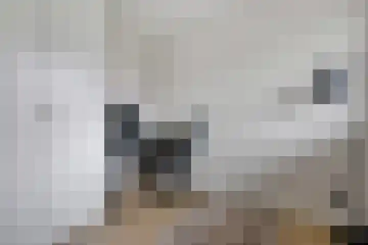 Veldhoeve 12 Nieuwegein thumbnail 9