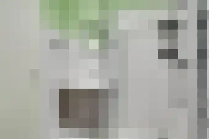 Veldhoeve 20 Nieuwegein thumbnail 20