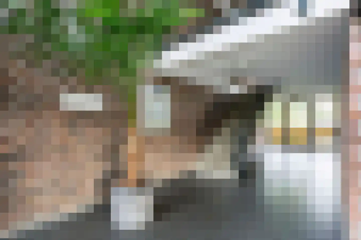 Veldhoeve 22 Nieuwegein thumbnail 25